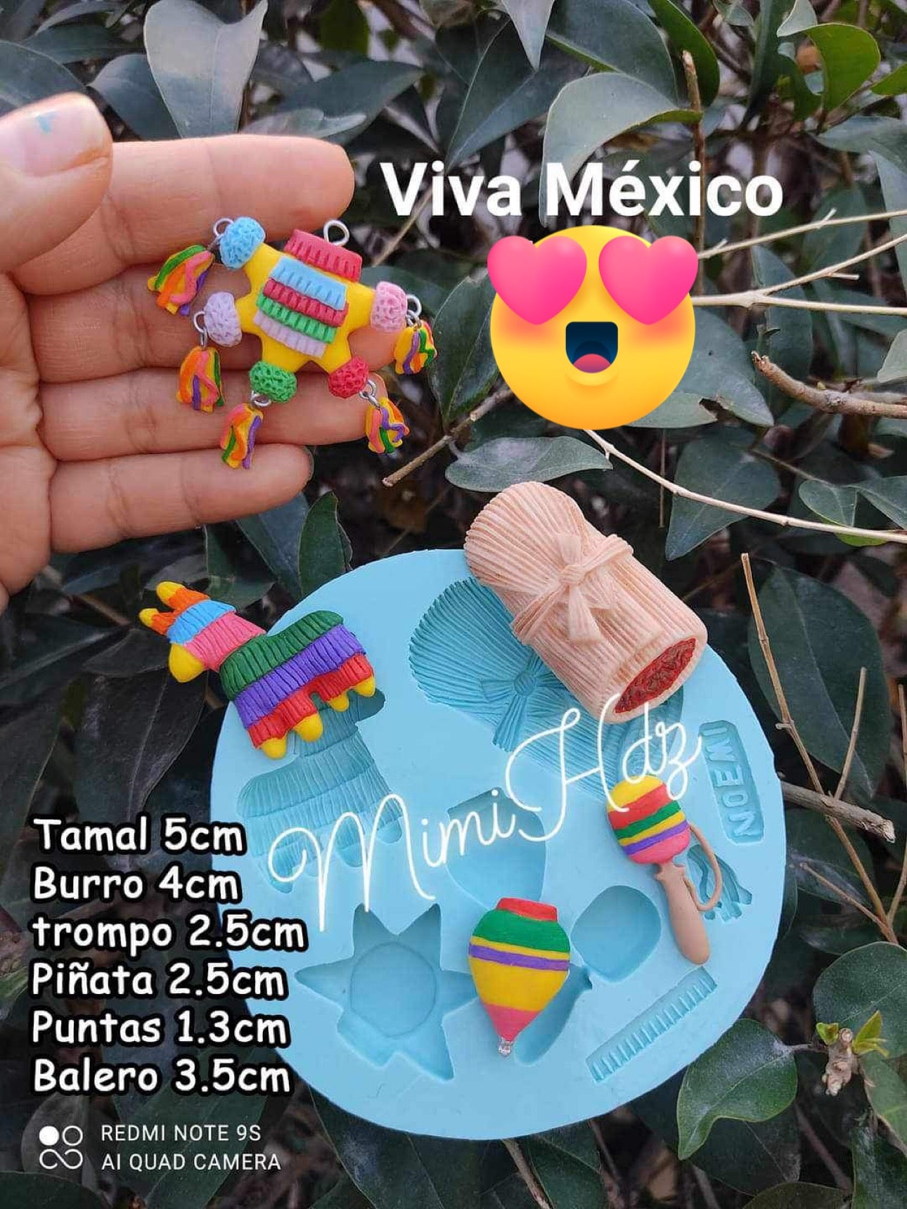 Viva Mexico (NH)