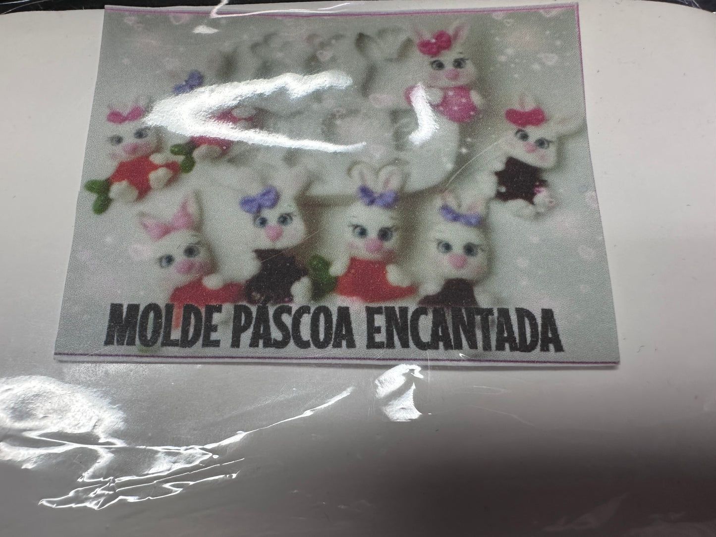 Pascoa Encantada