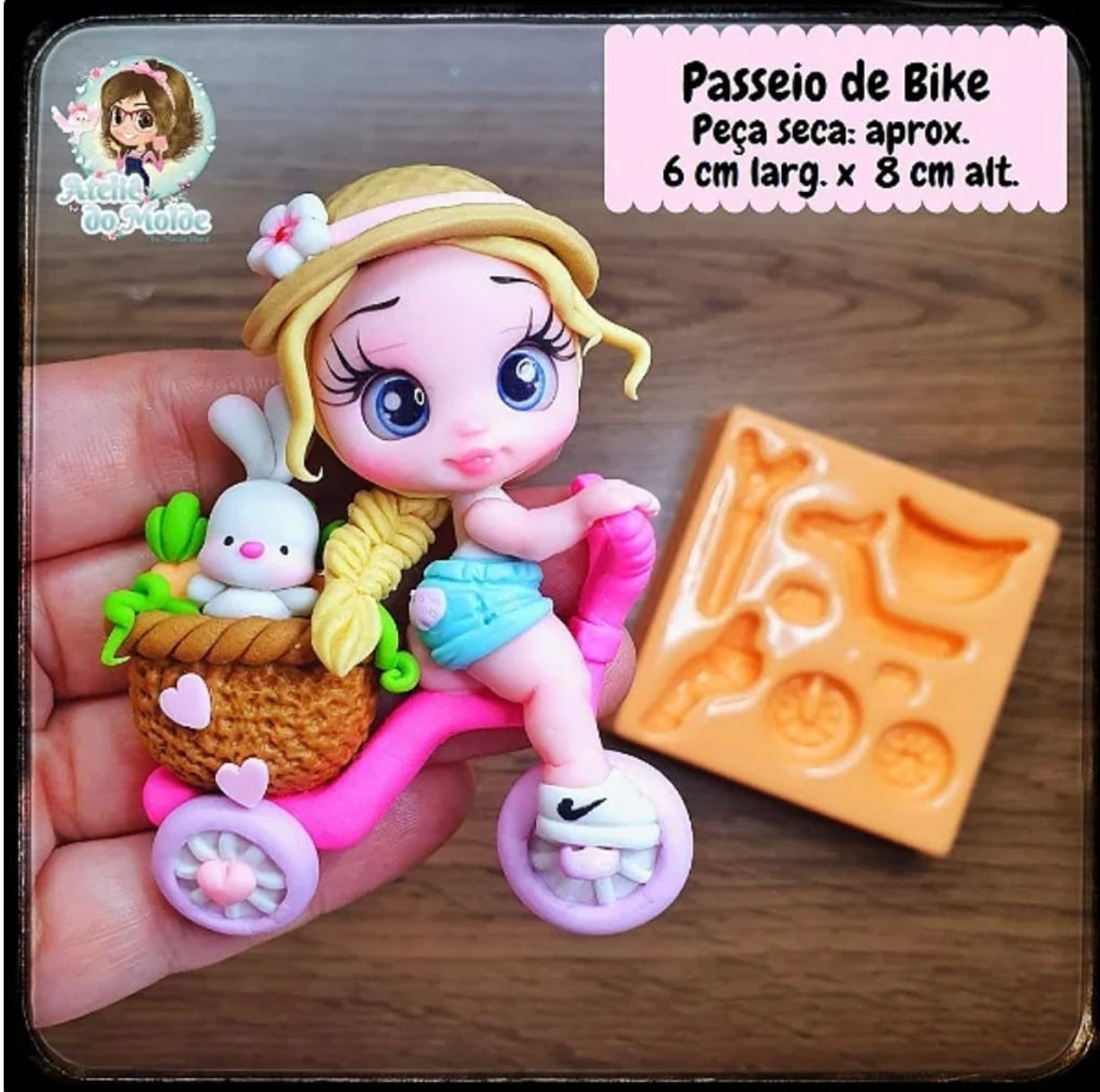 Passeio de Bike