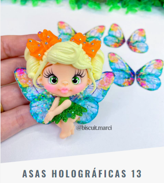 Asas Holográficas 13